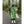 Chubasquero Verde Militar